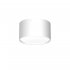 Oprawa natynkowa spot typu DOWNLIGHT 1366 Luminex